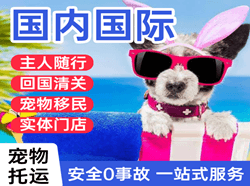 赛乌素机场物流国际宠物托运 【国